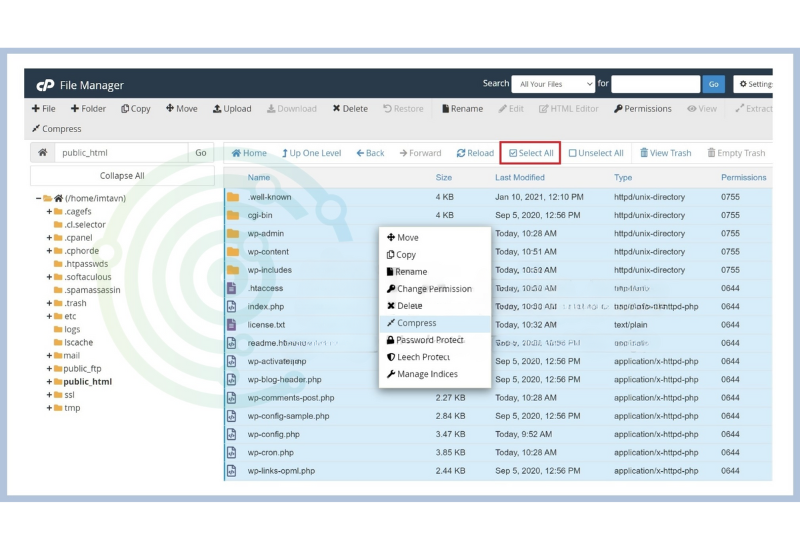 backup các file wordpress 2