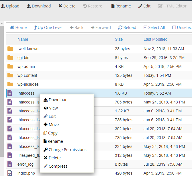 cách chỉnh sửa file .htaccess thông qua file manager trong cpanel 4