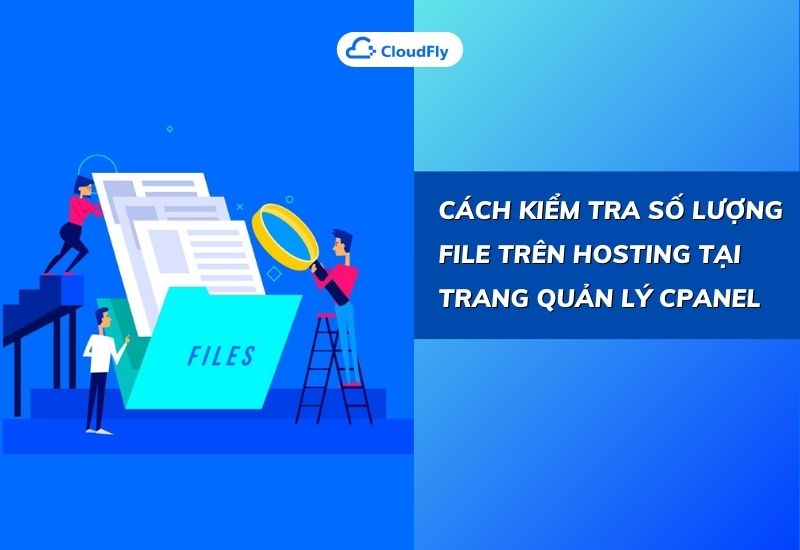 cách kiểm tra số lượng file trên hosting tại trang quản lý cpanel