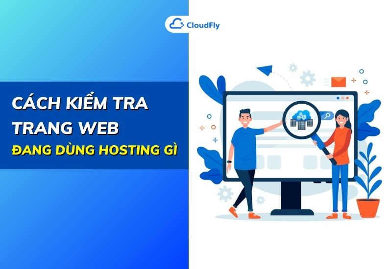 cách kiểm tra trang web đang dùng hosting gì
