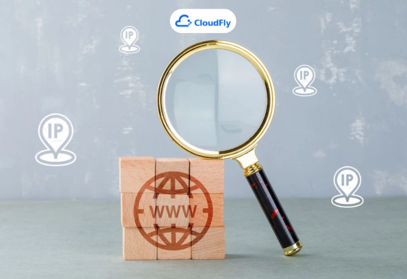 check domain ip