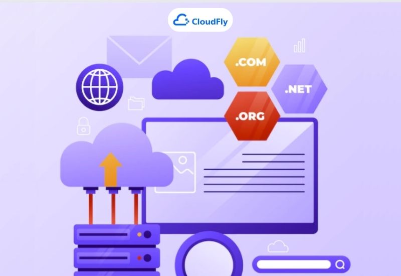 check domain info