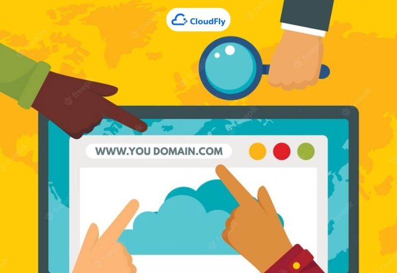 check domain info