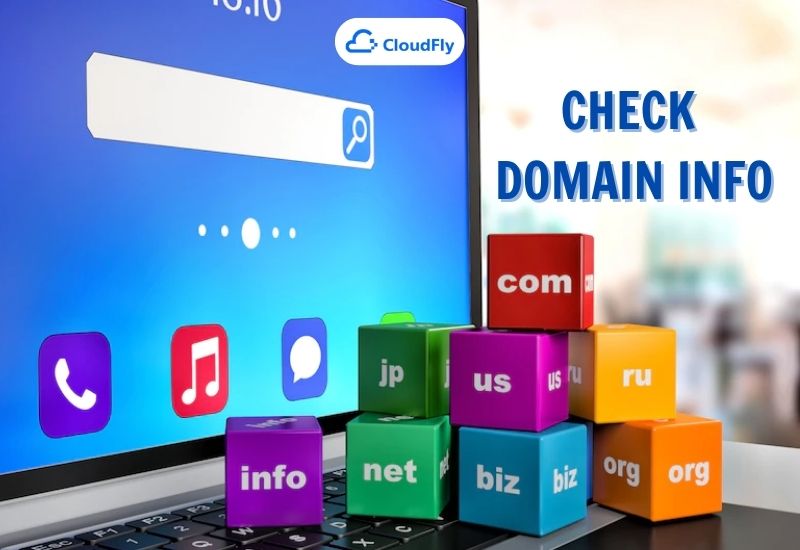 check domain info