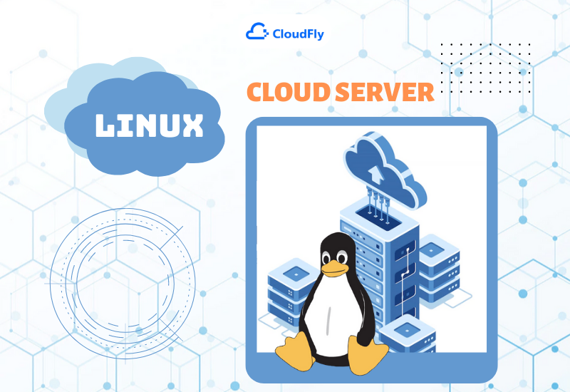 cloud server linux và windows