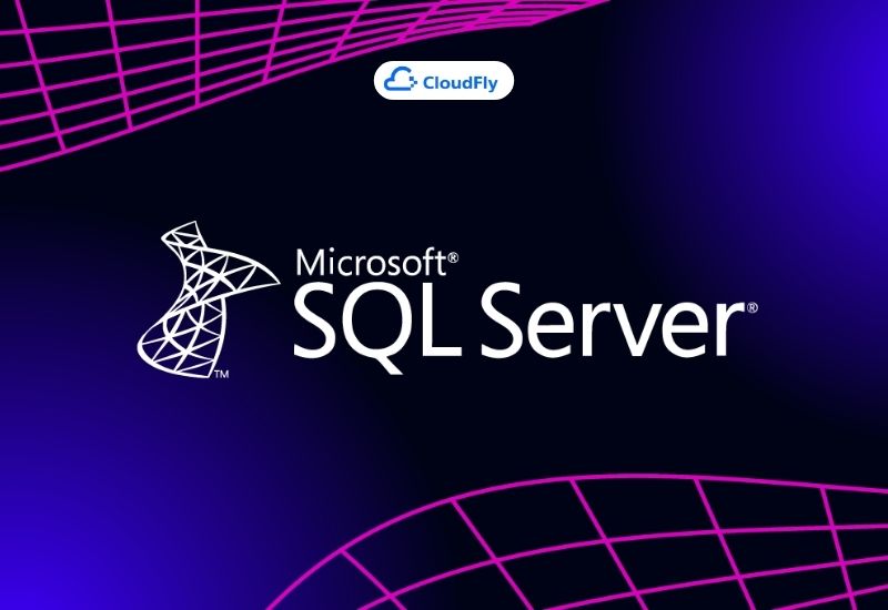 hệ quản trị cơ sở dữ liệu phổ biến microsoft sql server