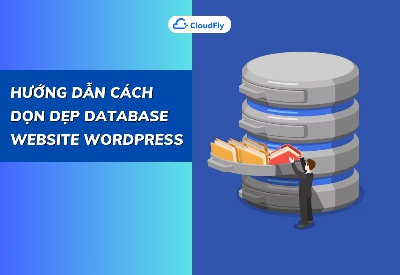 hướng dẫn cách dọn dẹp database webiste wordpress