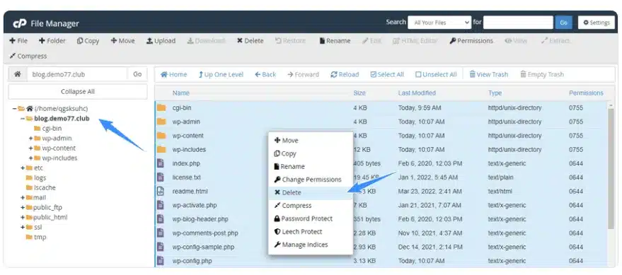 hướng dẫn cách reset hosting cpanel thủ công 2
