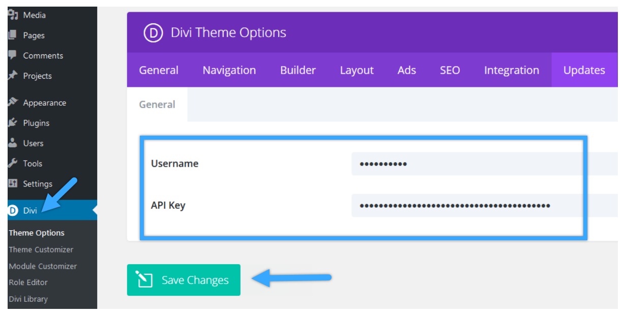 hướng dẫn cách sử dụng divi theme 1