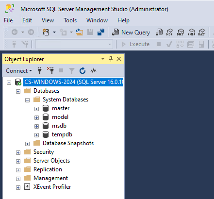 hướng dẫn cài đặt sql server management studio 4