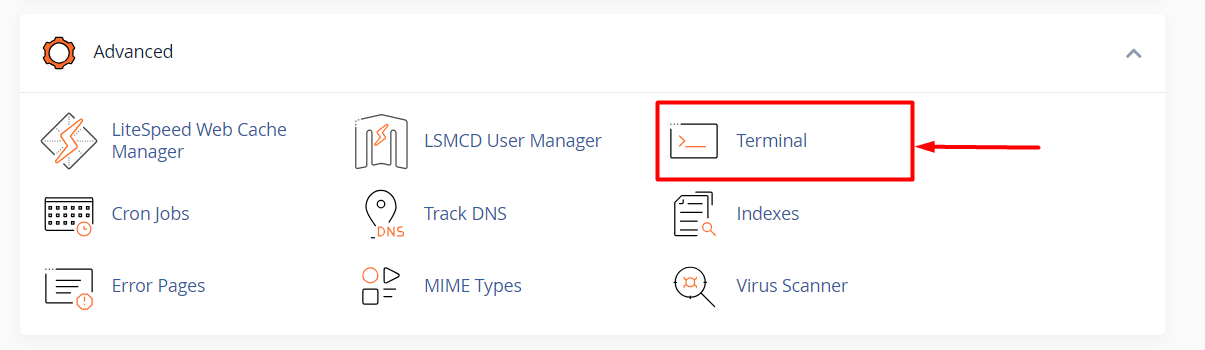 hướng dẫn kích hoạt ssh/shell access trong cpanel 11