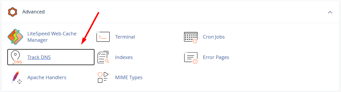 hướng dẫn kiểm tra thông tin domain với track dns trên cpanel 2