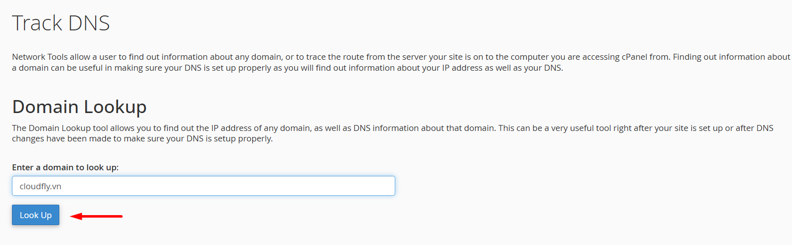 hướng dẫn kiểm tra thông tin domain với track dns trên cpanel 3