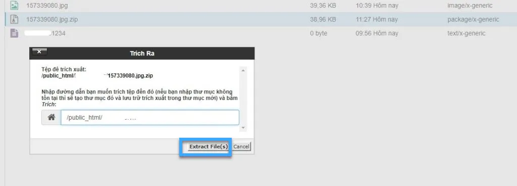 hướng dẫn nén và giải nén dữ liệu website trên cpanel hosting 4
