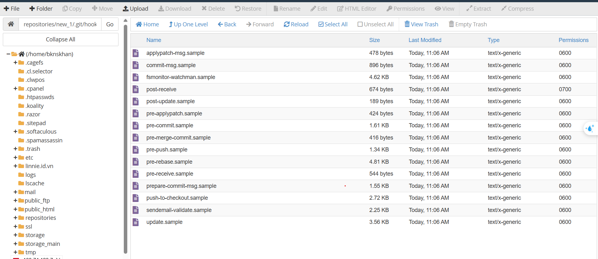 hướng dẫn sử dụng git trên cpanel hosting 8