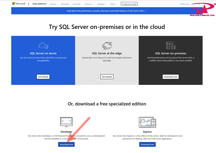 hướng dẫn tải và cài đặt sql server 2022 1