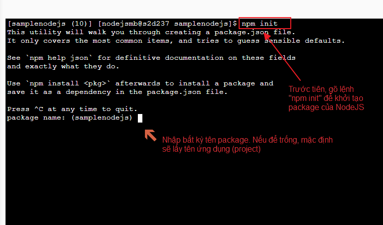hướng dẫn tạo môi trường nodejs trên cloud hosting 4