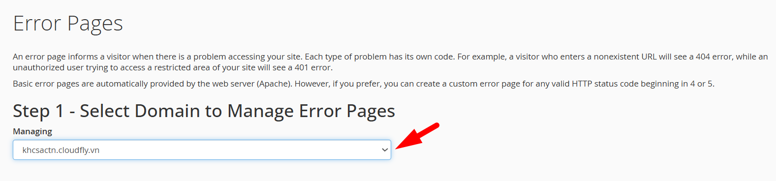 hướng dẫn tùy chỉnh error pages trên cpanel hosting 3