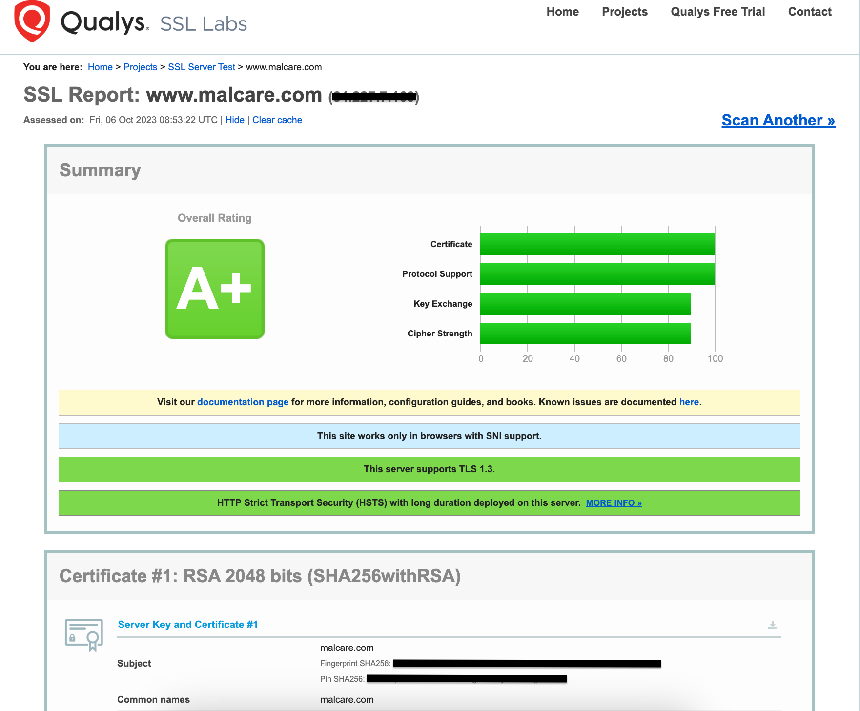 làm gì sau khi cài ssl cho wordpress 2