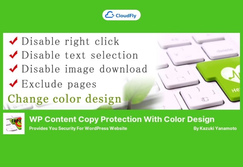 plugin chống copy wordpress wp content copy protection with color design