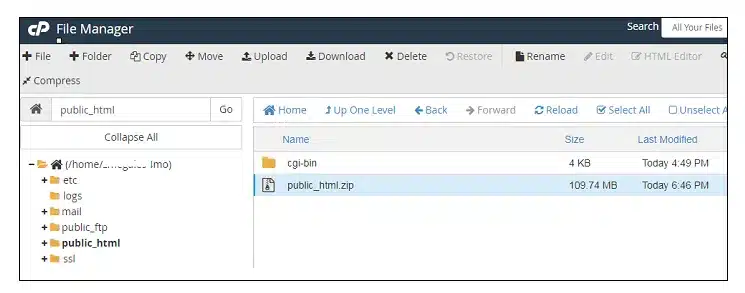 tải dữ liệu lên hosting mới 2