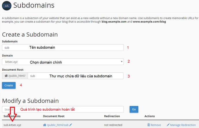 tạo subdomain