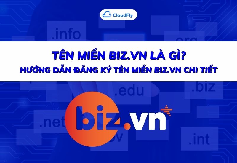 tên miền biz.vn là gì