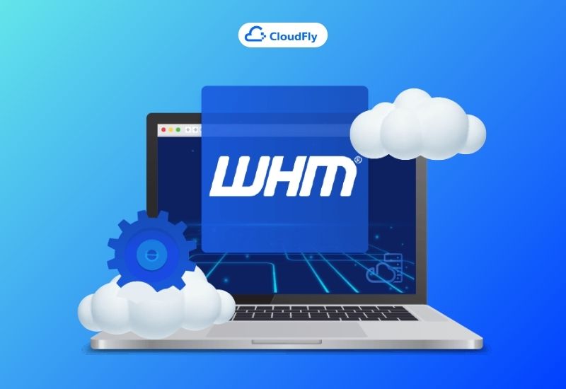 whm là gì