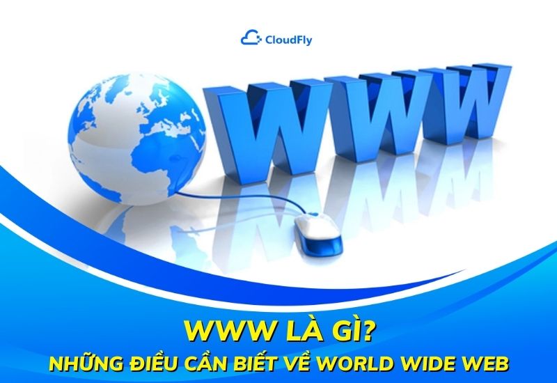 www là gì